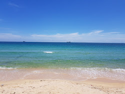 Photo de Ganh Dau Beach avec un rivage spacieux