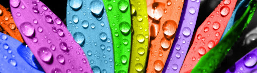 Estudigraf S.L. Imprenta Las Palmas de Gran Canaria