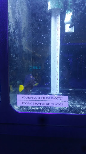 Pet Store «Alamo Aquatic Pets», reviews and photos, 6504 Bandera Rd, San Antonio, TX 78238, USA