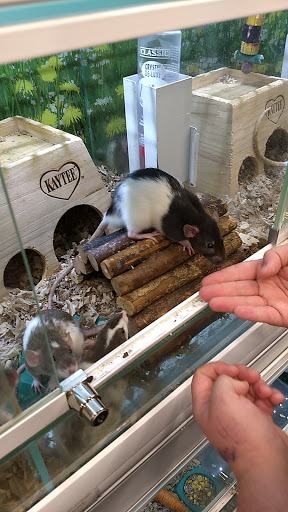 Pet Store «Market Street PET DEPOT», reviews and photos, 2979 S Market St, Gilbert, AZ 85295, USA