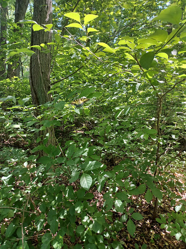 Park «Waterloo Park», reviews and photos, 6951 Old Waterloo Rd, Elkridge, MD 21075, USA