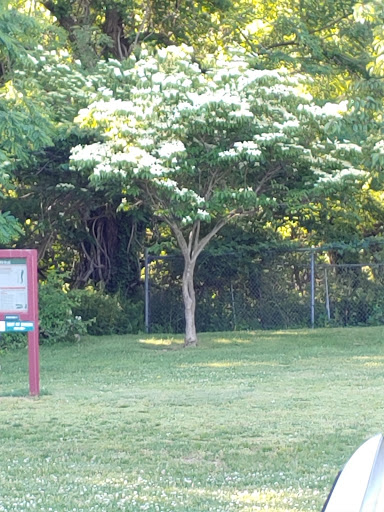 Park «Christopher Morley Park», reviews and photos, 500 Searingtown Rd N, Roslyn, NY 11576, USA