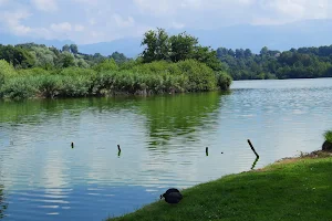Riserva naturale Lago di Sartirana image