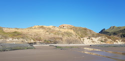 Martin's Beach'in fotoğrafı vahşi alan