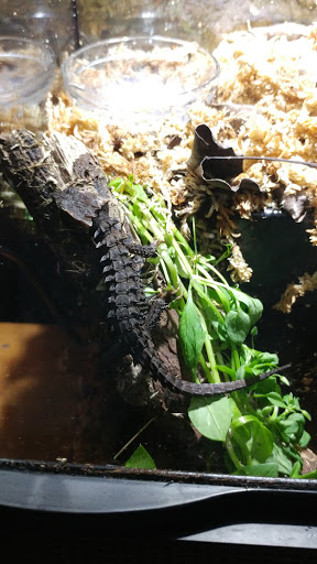 Pet Supply Store «Petco Animal Supplies», reviews and photos, 4175 Dowlen Rd, Beaumont, TX 77706, USA