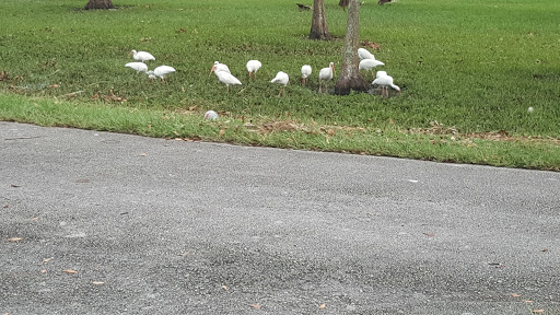 Memorial Park «Reverend Samuel Delevoe Memorial Park», reviews and photos, 2520 NW 6th St, Fort Lauderdale, FL 33311, USA