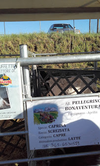 AL VECCHIO GATTONE bisteccheria - ristorante à Aprilia menu