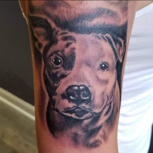 Explore wings tattoo ideas, creative tattoo ideas in Waynesboro, available at Tattooed In the Wild Studio