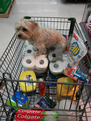 Supermarket «Walmart Neighborhood Market», reviews and photos, 3400 E Lake Rd S, Palm Harbor, FL 34685, USA