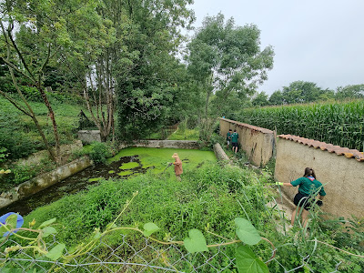 Lavoir de Marciac à Marciac