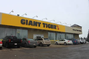 Giant Tiger image