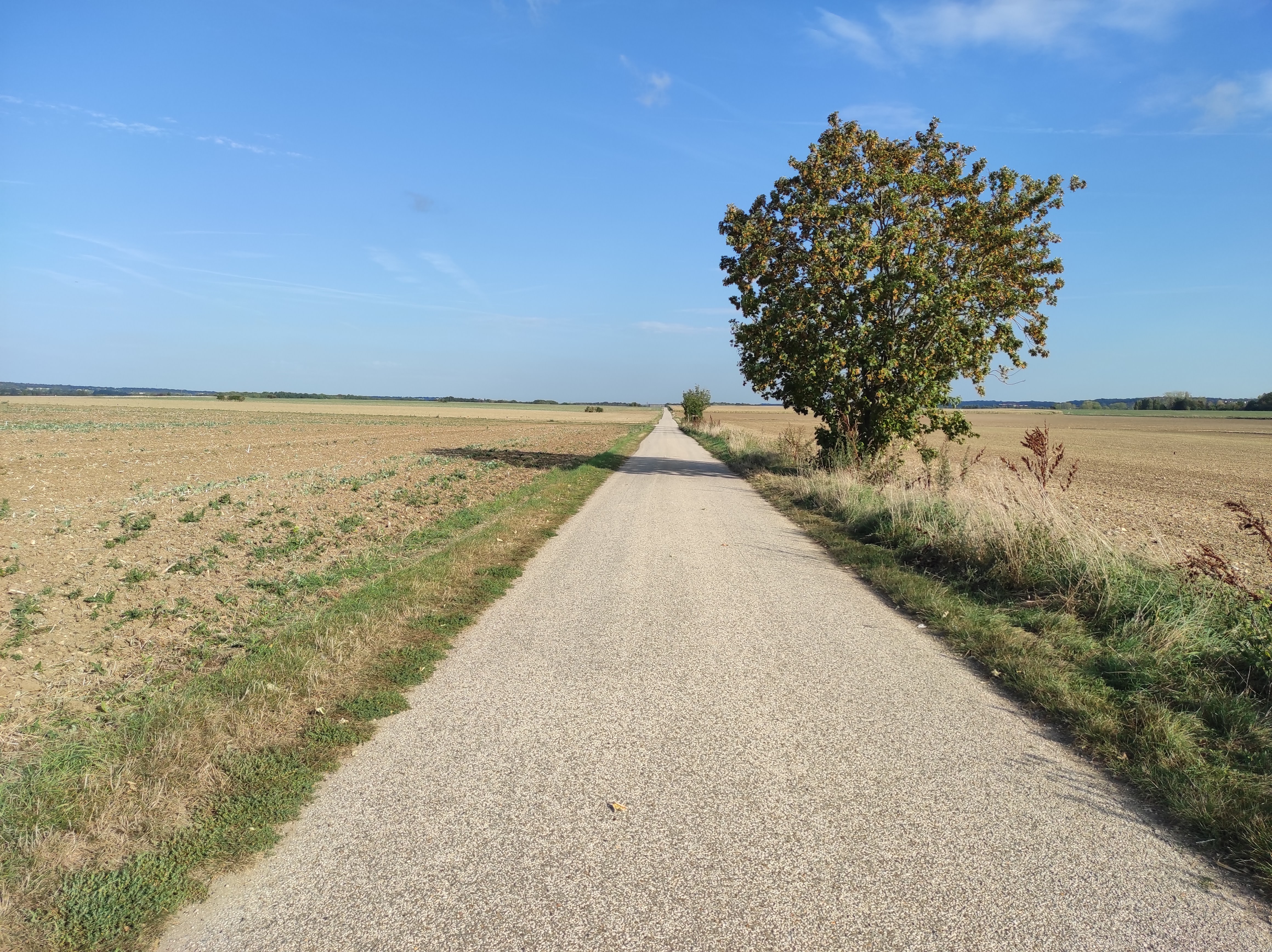 Photo n° 13 de l'avis de Patrick.e fait le 11/09/2023 à 16:48