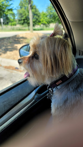 Pet Supply Store «PetSmart», reviews and photos, 47142 Michigan Ave, Canton, MI 48188, USA