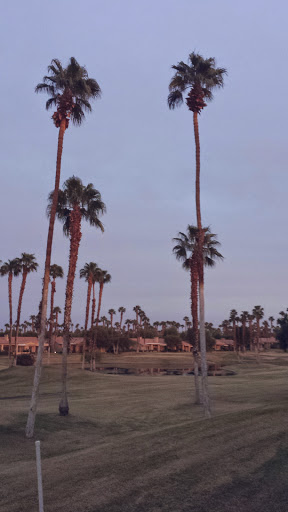 Country Club «Palm Valley Country Club», reviews and photos, 39205 Palm Valley Dr, Palm Desert, CA 92211, USA