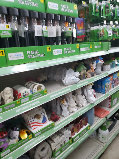 Discount Store «Dollar General», reviews and photos, 417 Palmer Ave, Corinth, NY 12822, USA