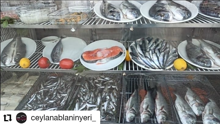 ceylanablannyeri