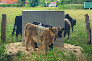 Festwiese Schützenverein Kattenstroth e.V.