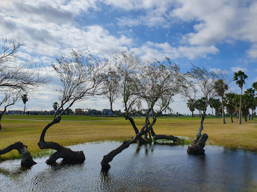 Public Golf Course «Moody Gardens Golf Course», reviews and photos, 1700 Sydnor Ln, Galveston, TX 77554, USA