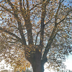 Photo n°6 de l'avis de JOSE.U fait le 09/12/2018 à 08:27 sur le  Aselager Mühle GmbH à Herzlake