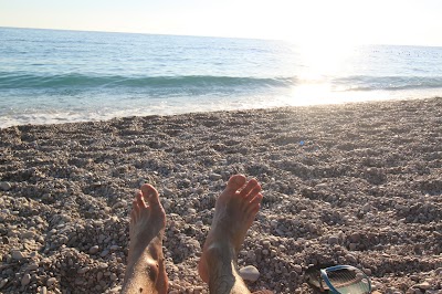 Photos of Green Coast