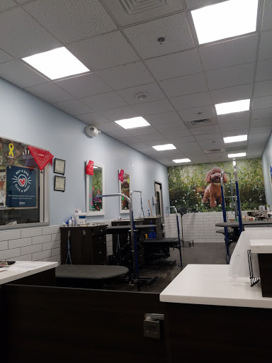 Pet Supply Store «PetSmart», reviews and photos, 23271 Eureka Rd, Taylor, MI 48180, USA