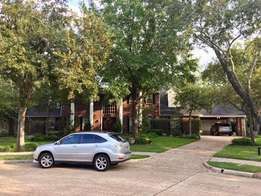 Roofing Contractor «Wabo Roofing Systems», reviews and photos