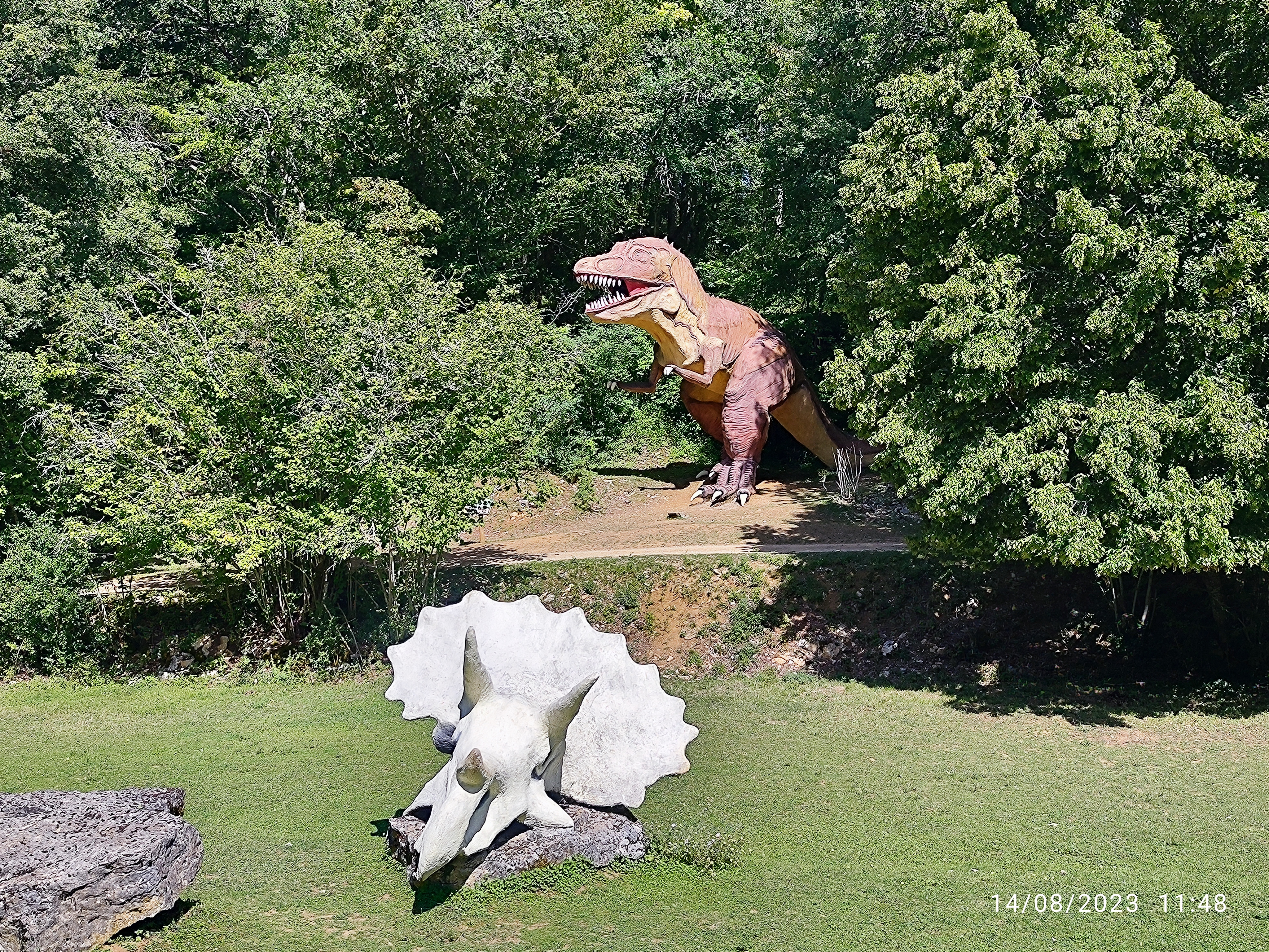 Photo n° 3 de l'avis de Gui. fait le 14/08/2023 à 17:54