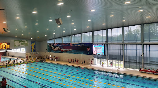 Swimming lessons for children Antwerp