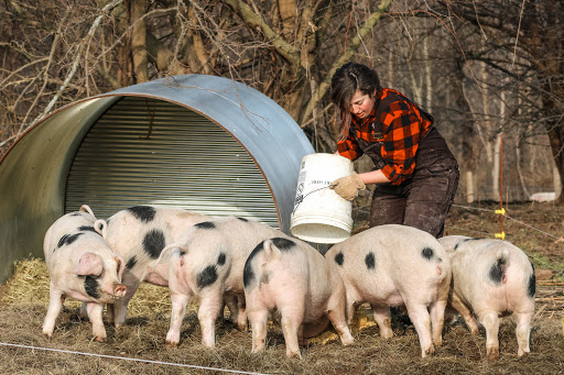 Cider Mill «Virtue Cider», reviews and photos, 2170 62nd St, Fennville, MI 49408, USA