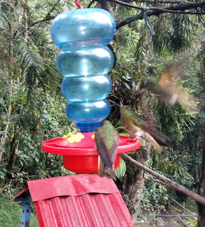 Photos of Reserva Natural Acaime