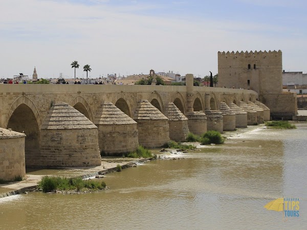 FREE TOURS CORDOBA - Córdoba Tips Tours