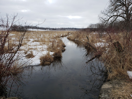 Tichigan Wildlife Area