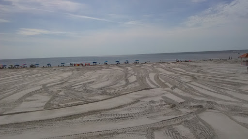 Boat Tour Agency «Dolphin Snorkeling Cruise», reviews and photos, 4630 29th Ave S, Gulfport, FL 33711, USA