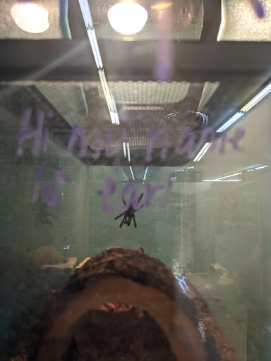 Pet Store «Petsway», reviews and photos, 1717 W Kearney St, Springfield, MO 65803, USA