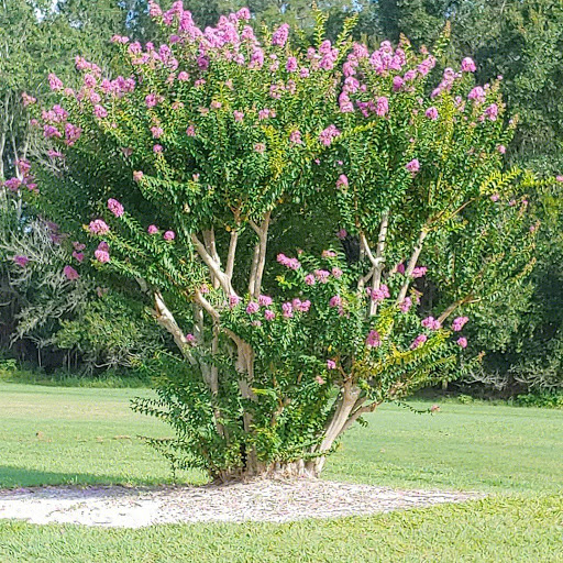 Golf Club «Silver Dollar Golf & Trap Club», reviews and photos, 12711 Silver Dollar Dr, Odessa, FL 33556, USA