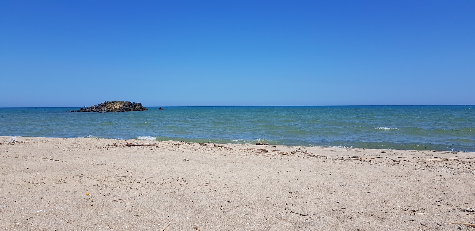 Foto av Primosole beach med grönt vatten yta