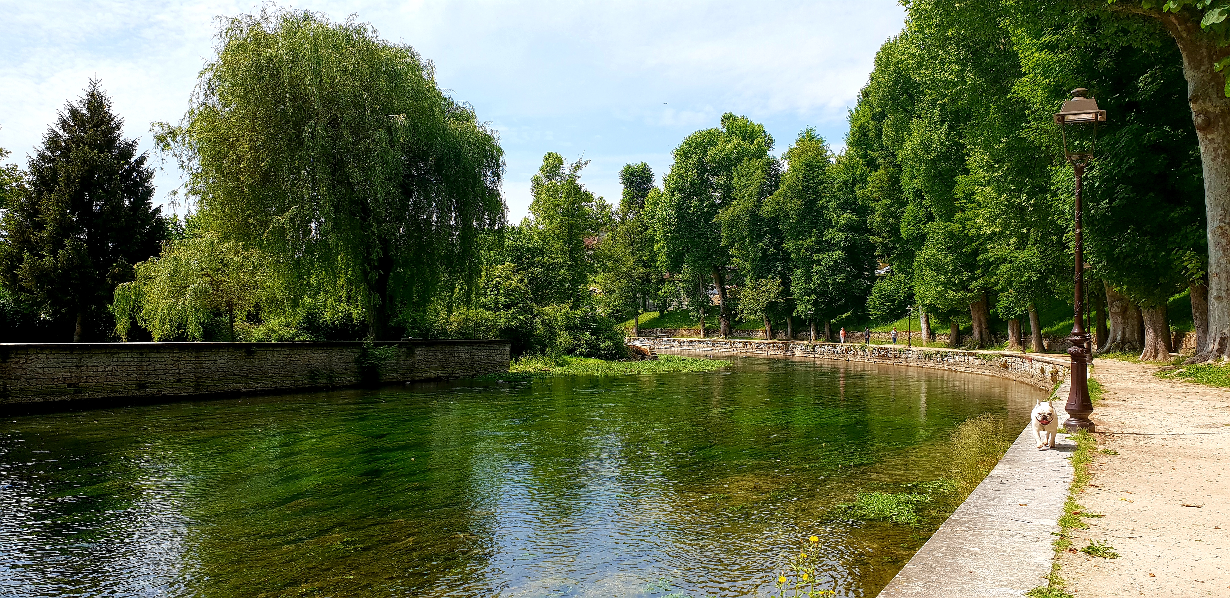 Photo n° 19 de l'avis de Olivier.. fait le 21/05/2018 à 17:04