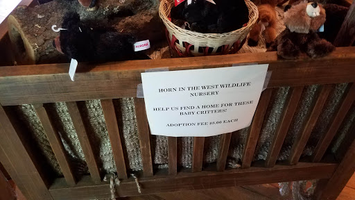 History Museum «Hickory Ridge Living History Museum», reviews and photos, 591 Horn in the W Dr, Boone, NC 28607, USA