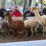 Photo n°2 de l'avis de Elena.t fait le 20/12/2023 à 18:00 sur le  Bocca di Bacco in Villa à Zero Branco