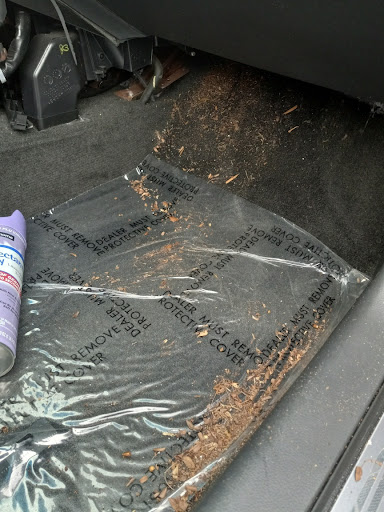 Nissan Dealer «Fort Lauderdale Nissan», reviews and photos, 1051 S Federal Hwy, Fort Lauderdale, FL 33316, USA