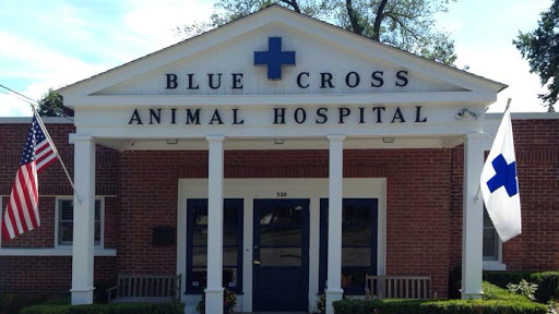 Blue Cross Animal Hospital image