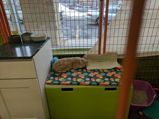 Pet Supply Store «Pet Supplies Plus», reviews and photos, 4920 Wilson Ave SW Suite 100, Grandville, MI 49418, USA