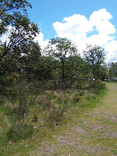 Golf Course «Fort Steilacoom Golf Course», reviews and photos, 8202 87th Ave SW, Lakewood, WA 98499, USA