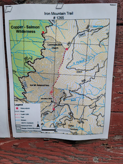 Iron Mountain South Trailhead