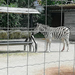 Photo n° 3 de l'avis de Evelyne.e fait le 30/07/2022 à 11:18 pour Zoo d'Amiens Métropole à Amiens
