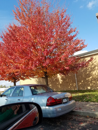 Orchard «The Orchard Shop», reviews and photos, 311 W St Joseph St, Muncie, IN 47303, USA