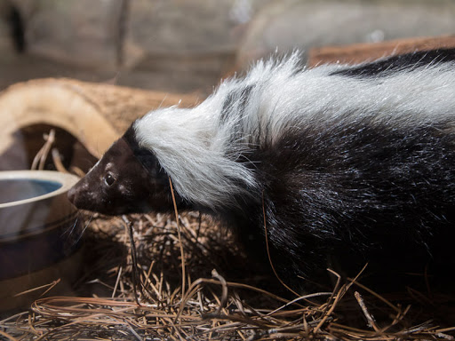 Museum «Discovery Place Nature», reviews and photos, 1658 Sterling Rd, Charlotte, NC 28209, USA