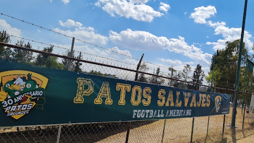 Campo Patos Salvajes