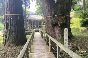 The Great Cedars of Kayano image