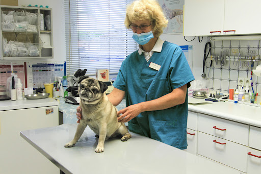 Dr. Marita Illenseer Tierärztin unter Ratingen, Nordrhein-Westfalen
